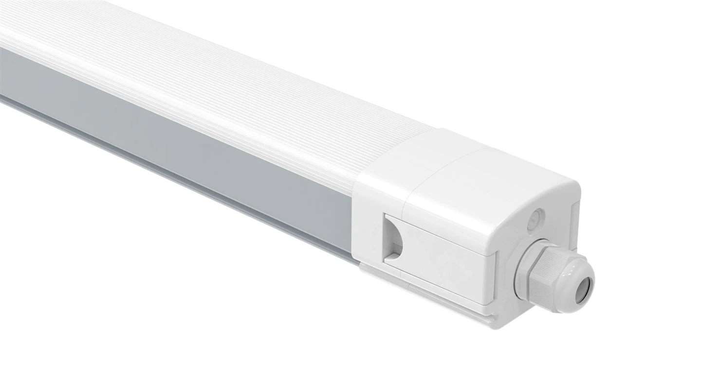 Bico Tri{0}Imọlẹ ẹri